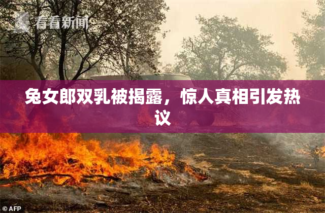 兔女郎双乳被揭露，惊人真相引发热议