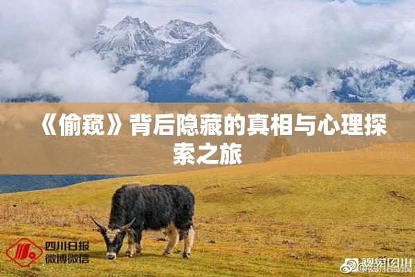 《偷窥》背后隐藏的真相与心理探索之旅