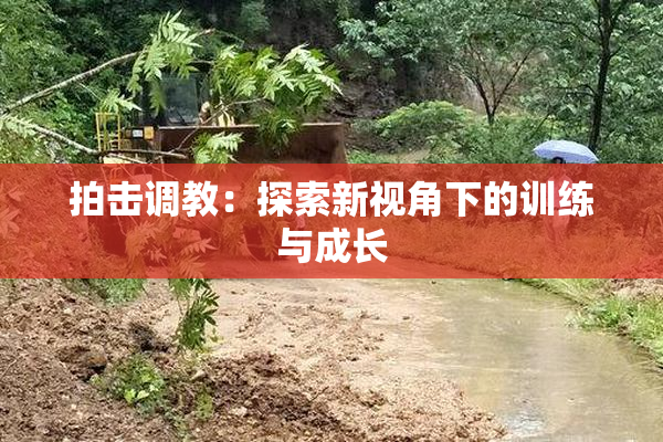 拍击调教：探索新视角下的训练与成长