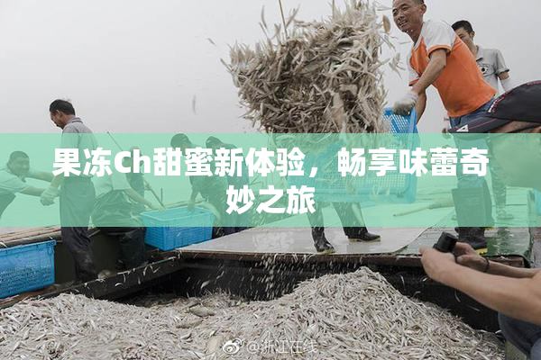 果冻Ch甜蜜新体验，畅享味蕾奇妙之旅