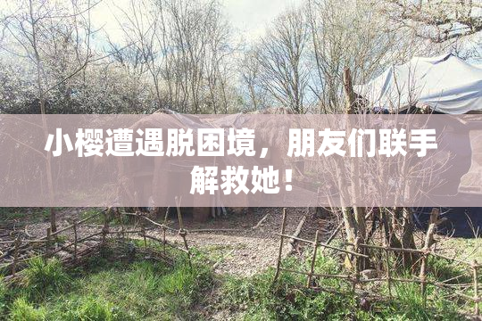 小樱遭遇脱困境，朋友们联手解救她！