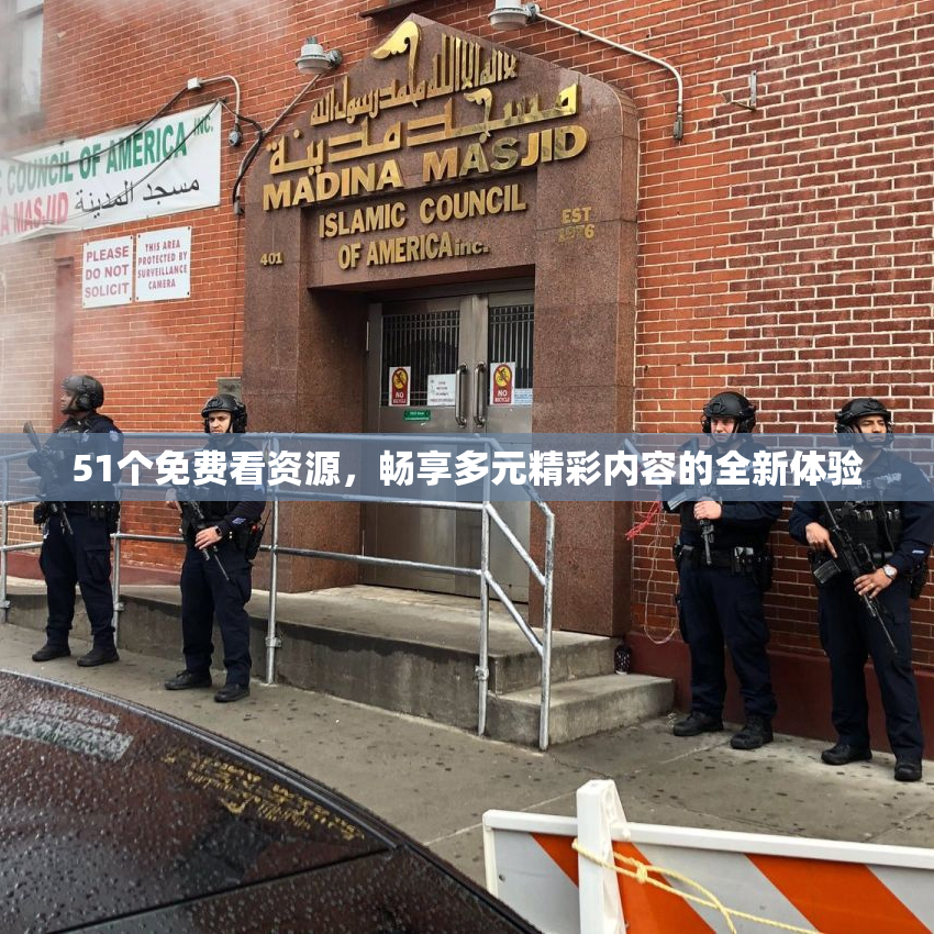 51个免费看资源，畅享多元精彩内容的全新体验