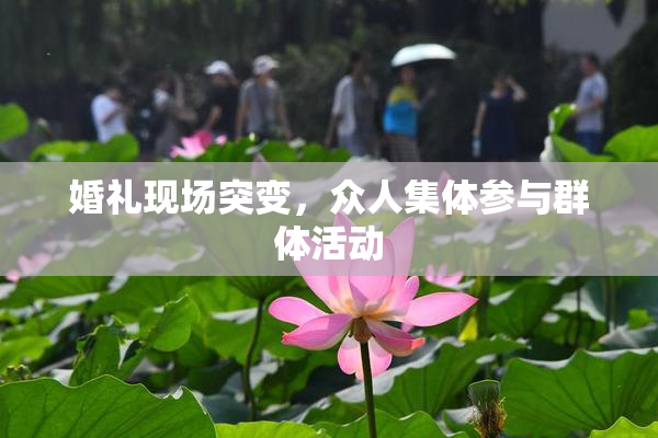 婚礼现场突变，众人集体参与群体活动