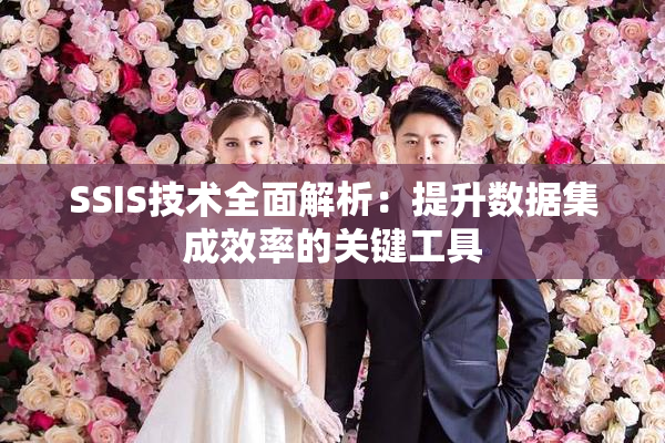 SSIS技术全面解析：提升数据集成效率的关键工具