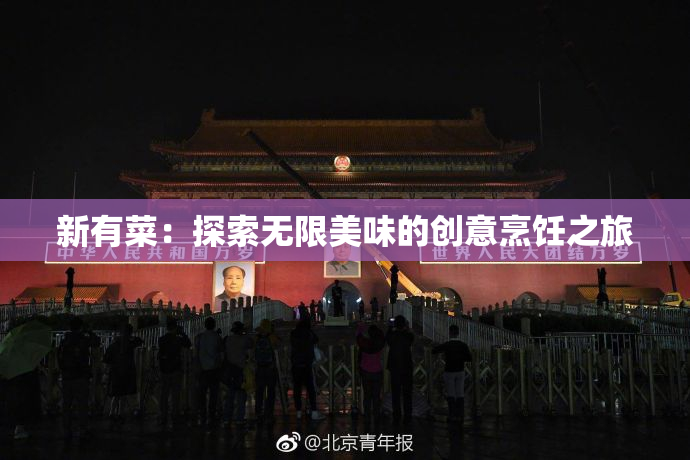 新有菜：探索无限美味的创意烹饪之旅