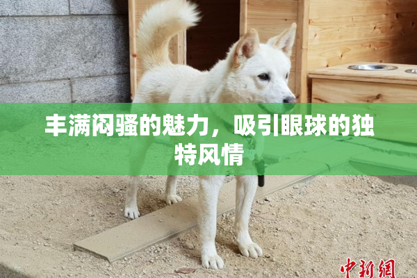丰满闷骚的魅力，吸引眼球的独特风情