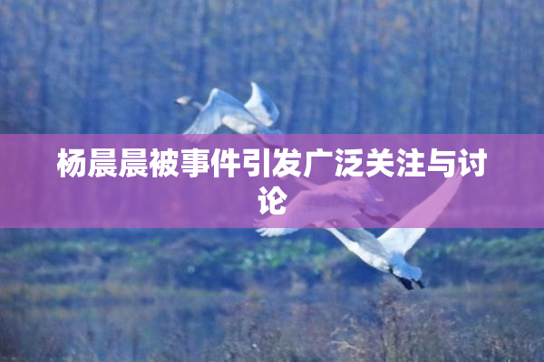 杨晨晨被事件引发广泛关注与讨论