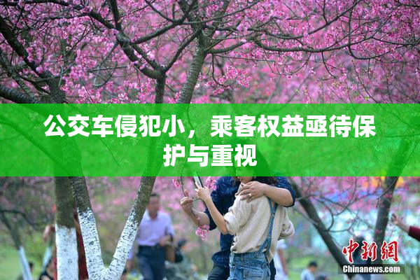 公交车侵犯小，乘客权益亟待保护与重视