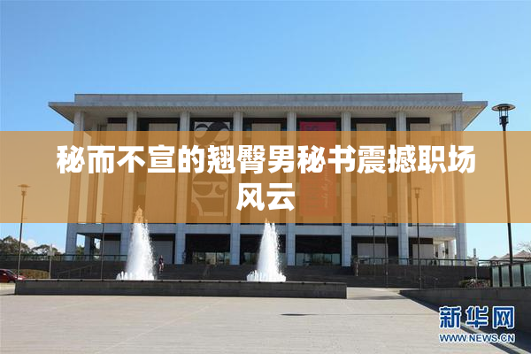 秘而不宣的翘臀男秘书震撼职场风云