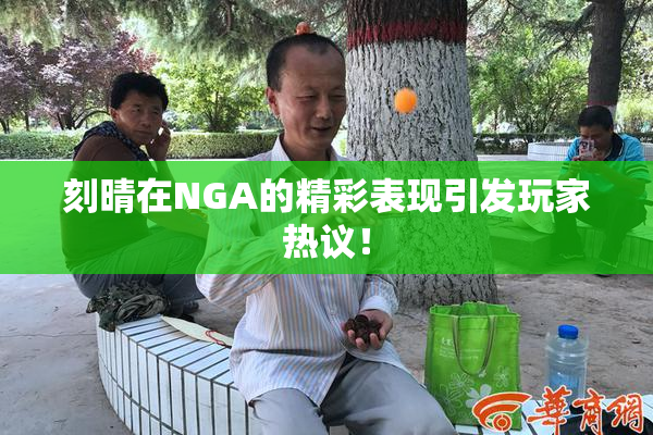 刻晴在NGA的精彩表现引发玩家热议！