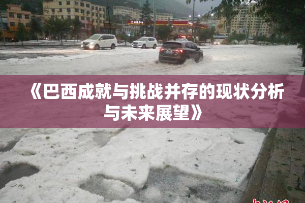 《巴西成就与挑战并存的现状分析与未来展望》