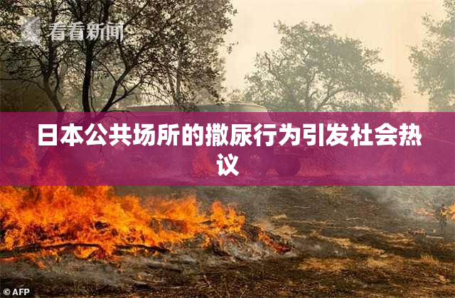 日本公共场所的撒尿行为引发社会热议