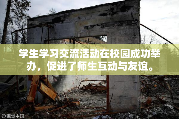 学生学习交流活动在校园成功举办，促进了师生互动与友谊。