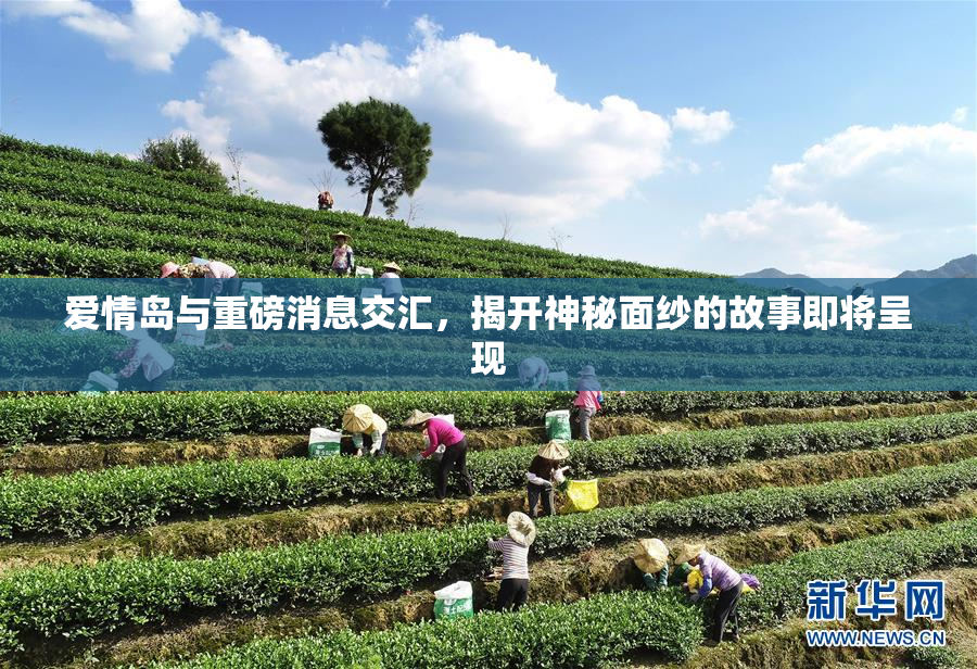 爱情岛与重磅消息交汇，揭开神秘面纱的故事即将呈现