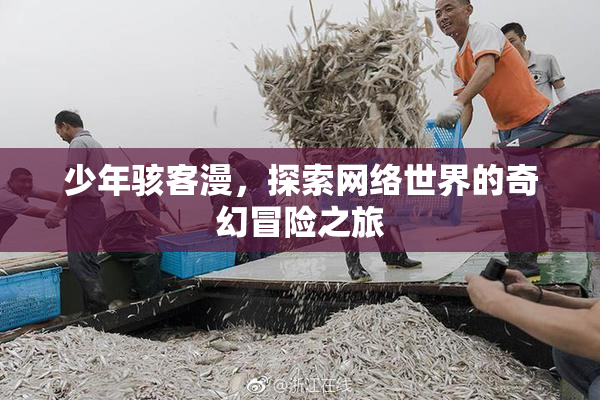 少年骇客漫，探索网络世界的奇幻冒险之旅
