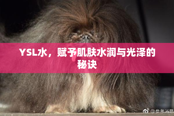 YSL水，赋予肌肤水润与光泽的秘诀