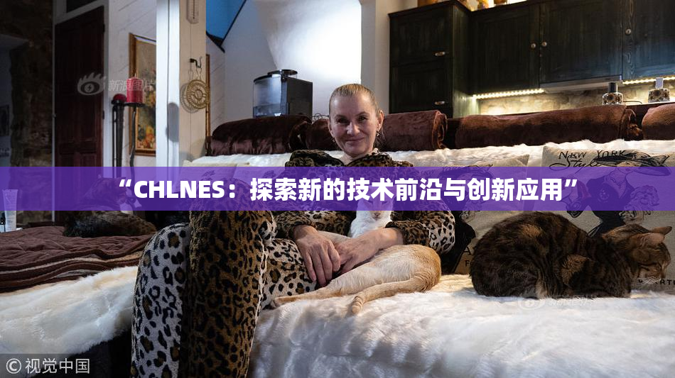 “CHLNES：探索新的技术前沿与创新应用”