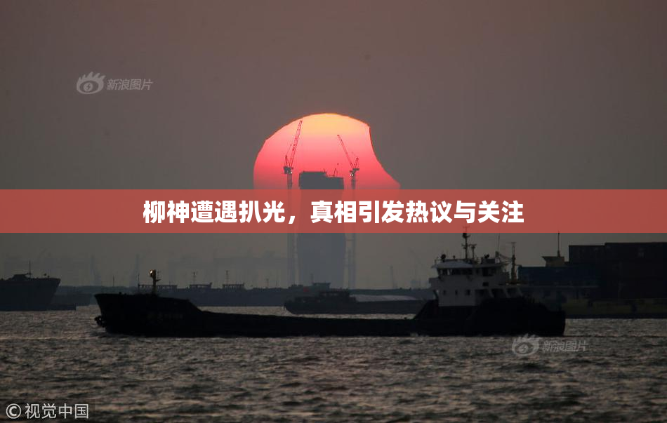 柳神遭遇扒光，真相引发热议与关注