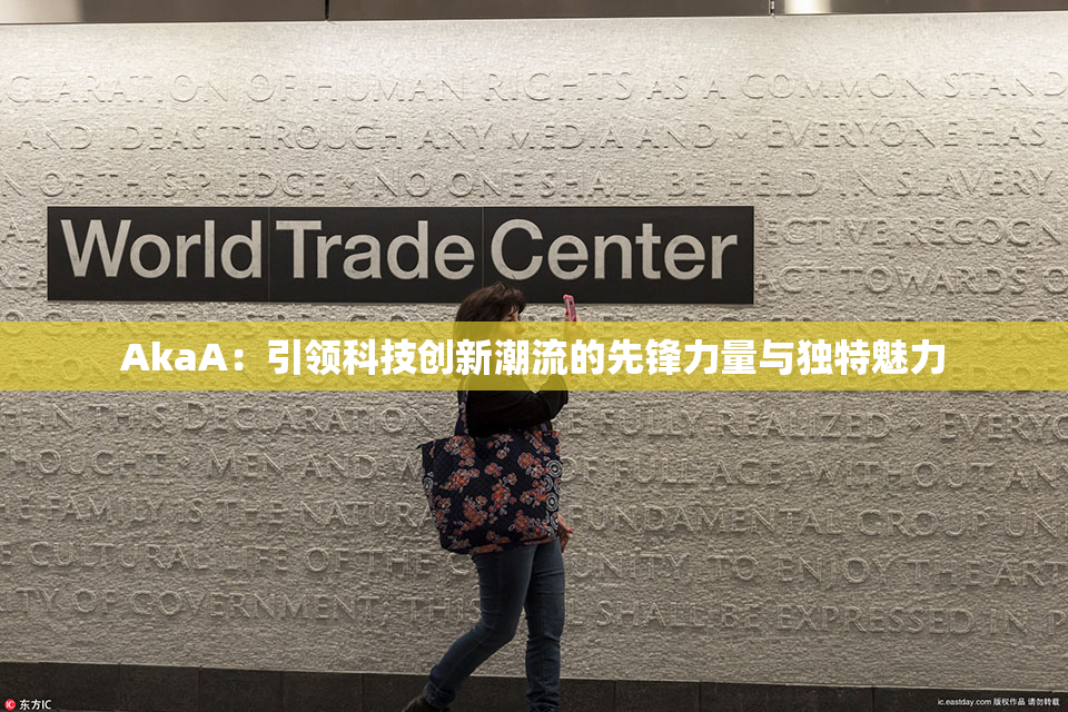 AkaA：引领科技创新潮流的先锋力量与独特魅力