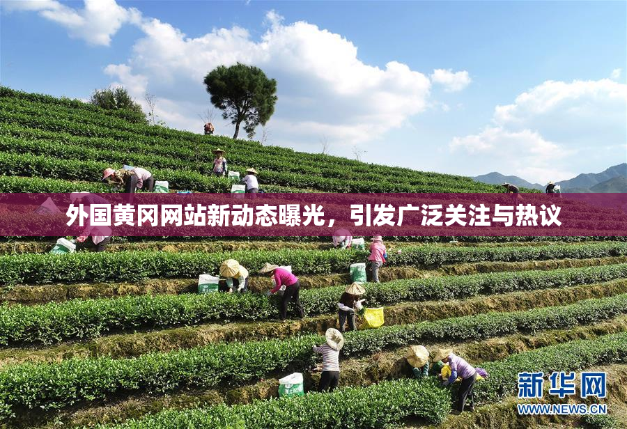 外国黄冈网站新动态曝光，引发广泛关注与热议