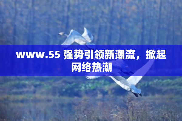 www.55 强势引领新潮流，掀起网络热潮