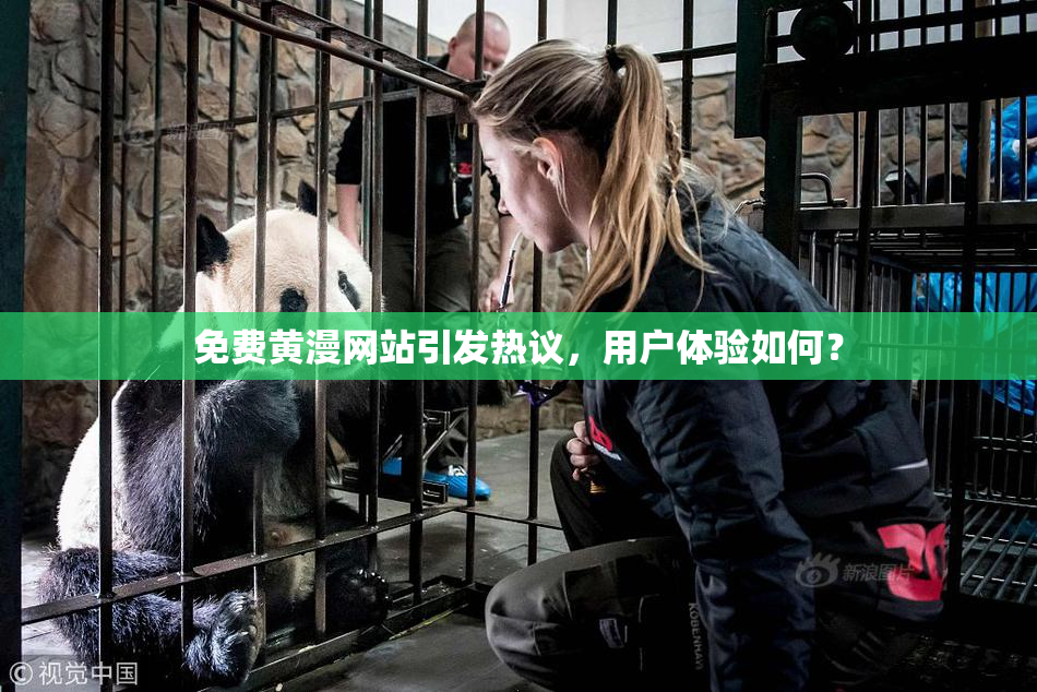 免费黄漫网站引发热议，用户体验如何？