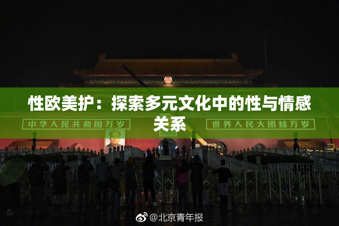 性欧美护：探索多元文化中的性与情感关系