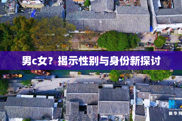 男c女？揭示性别与身份新探讨