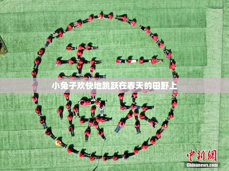小兔子欢快地跳跃在春天的田野上