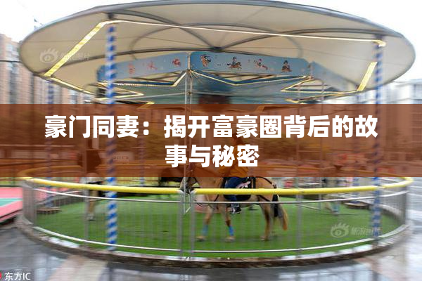 豪门同妻：揭开富豪圈背后的故事与秘密