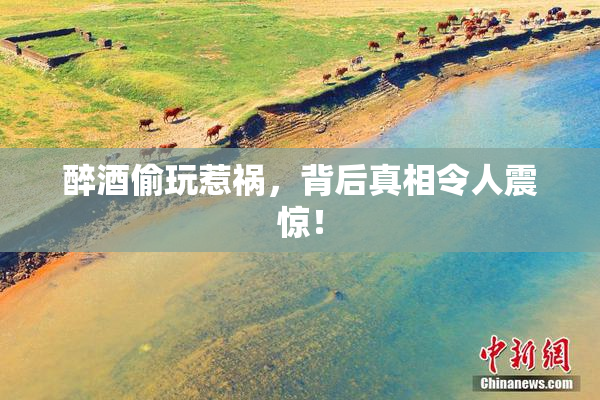 醉酒偷玩惹祸，背后真相令人震惊！