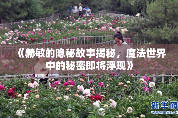 《赫敏的隐秘故事揭秘，魔法世界中的秘密即将浮现》