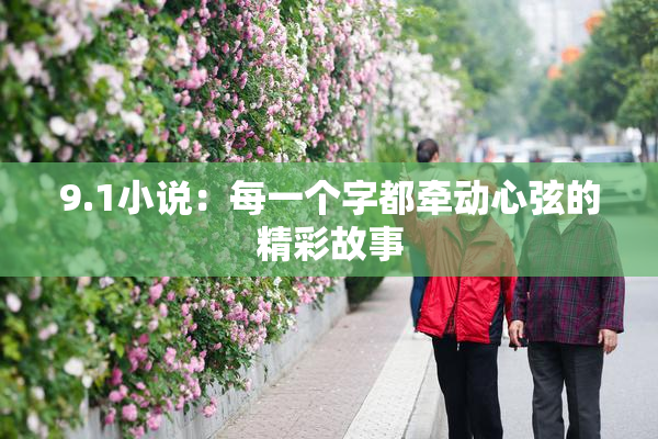 9.1小说：每一个字都牵动心弦的精彩故事