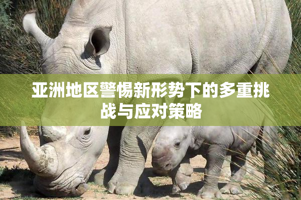 亚洲地区警惕新形势下的多重挑战与应对策略