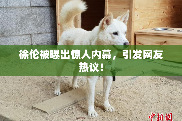 徐伦被曝出惊人内幕，引发网友热议！