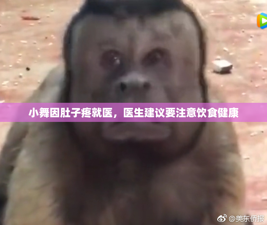小舞因肚子疼就医，医生建议要注意饮食健康