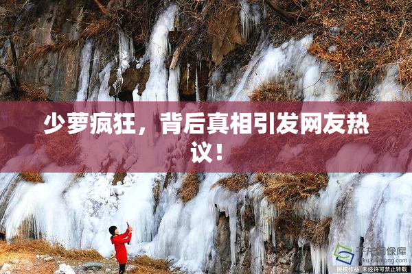 少萝疯狂，背后真相引发网友热议！