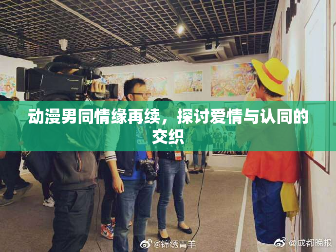 动漫男同情缘再续，探讨爱情与认同的交织