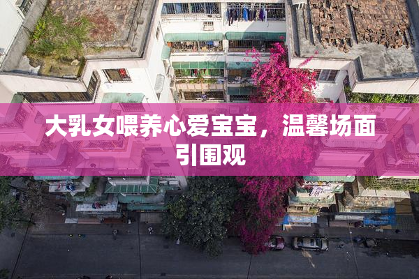 大乳女喂养心爱宝宝，温馨场面引围观