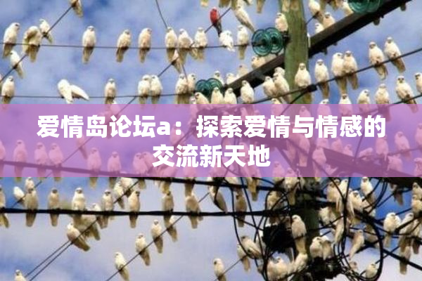 爱情岛论坛a：探索爱情与情感的交流新天地