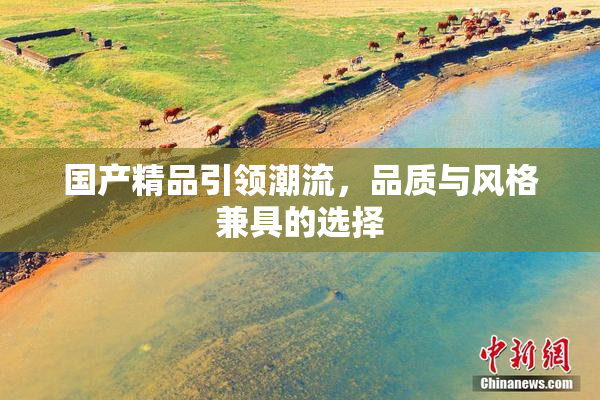 国产精品引领潮流，品质与风格兼具的选择