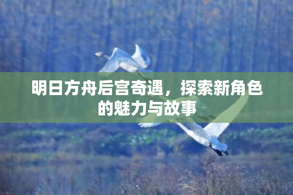 明日方舟后宫奇遇，探索新角色的魅力与故事