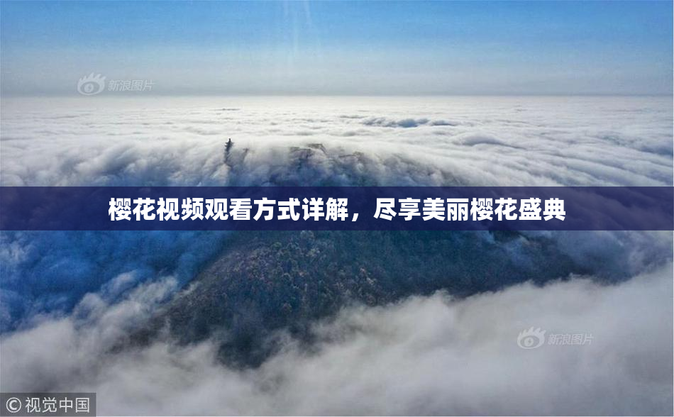 樱花视频观看方式详解，尽享美丽樱花盛典