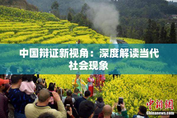 中国辩证新视角：深度解读当代社会现象