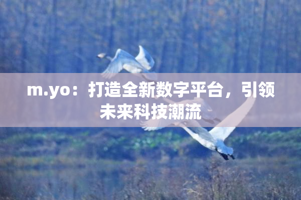 m.yo：打造全新数字平台，引领未来科技潮流