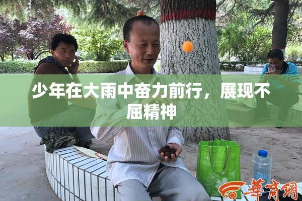 少年在大雨中奋力前行，展现不屈精神