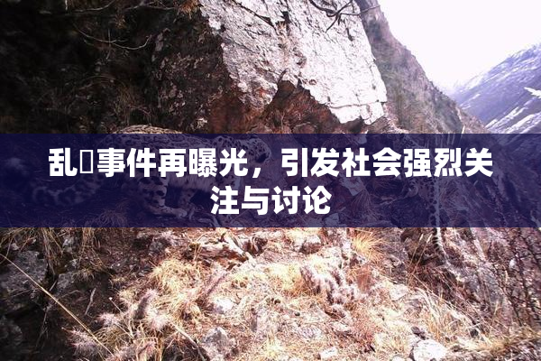 乱婬事件再曝光，引发社会强烈关注与讨论