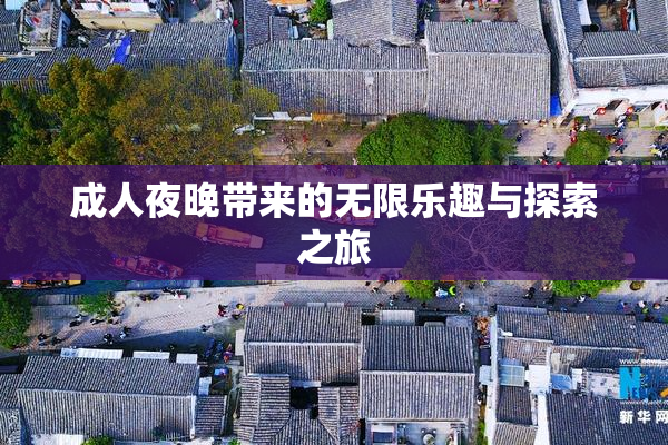 成人夜晚带来的无限乐趣与探索之旅