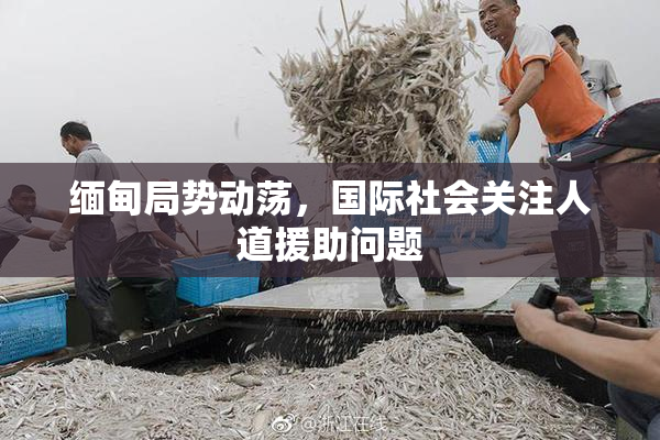 缅甸局势动荡，国际社会关注人道援助问题