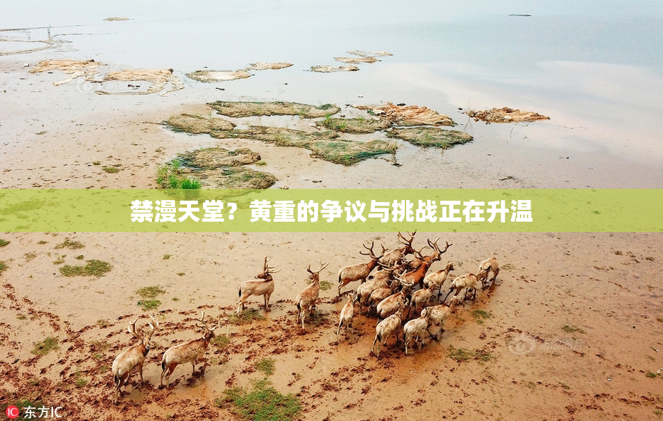 禁漫天堂？黄重的争议与挑战正在升温